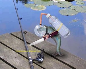 Funny fishing :)